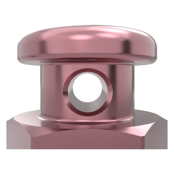 Orthodontic Screws - Image 6