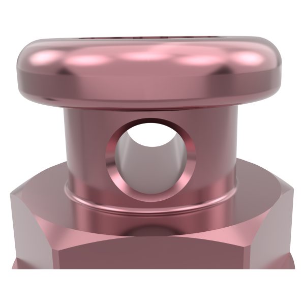Orthodontic Screws - Image 5