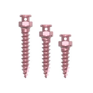 Orthodontic Screws