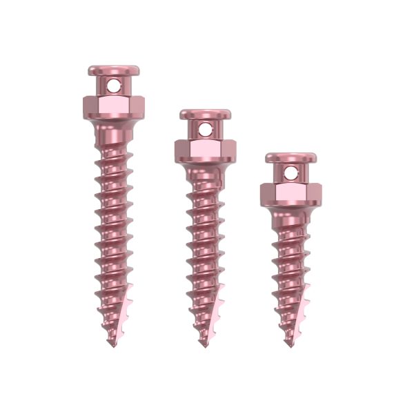 Orthodontic Screws