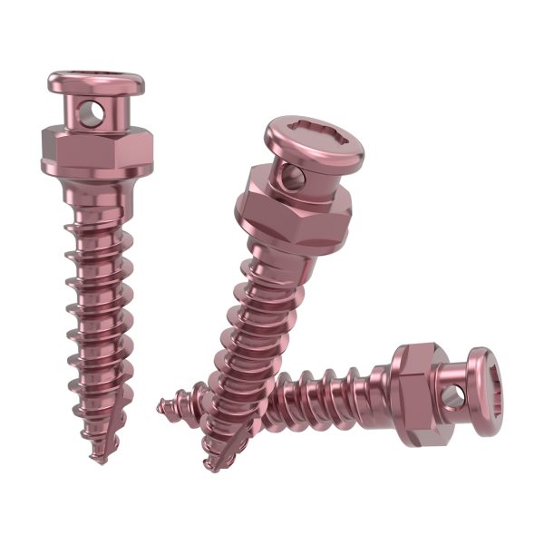 Orthodontic Screws - Image 2