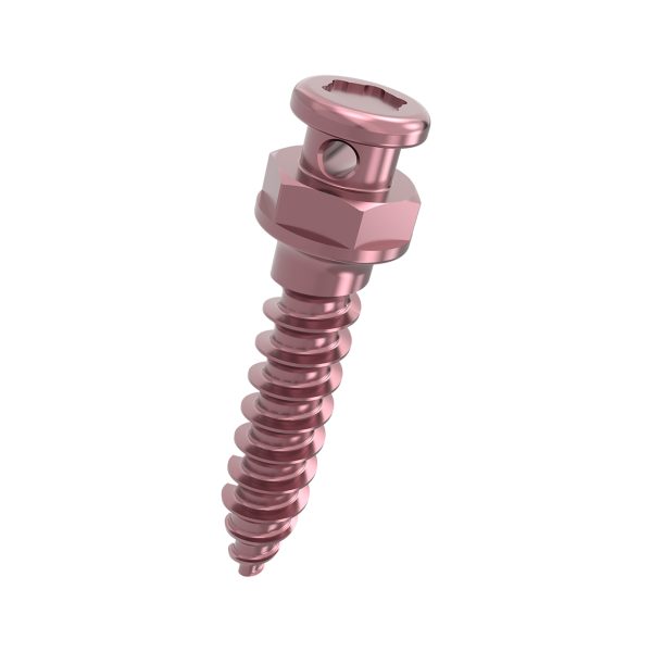 Orthodontic Screws - Image 3