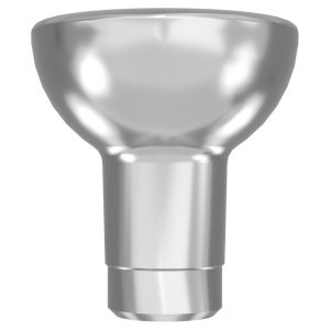 Bicon Temporary Abutment Compatible