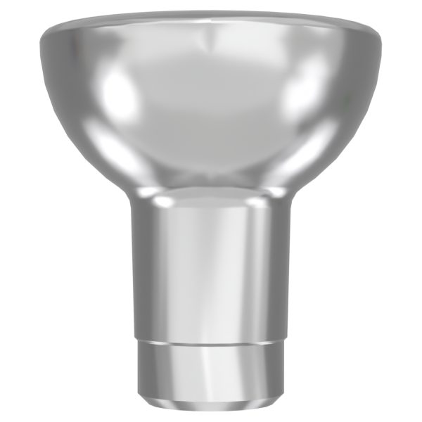 Bicon Temporary Abutment Compatible