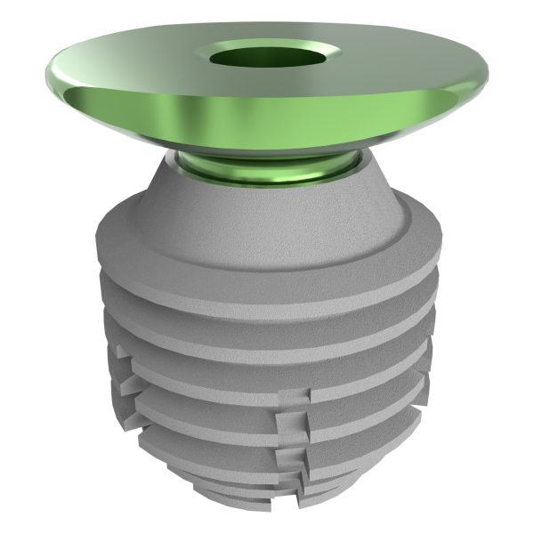 Bicon Compatible Sinus Lift Temporary Abutment - Image 5