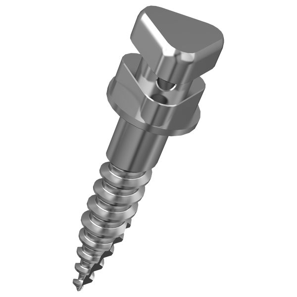 Stainless Steel Orthodontic Screw - Image 2
