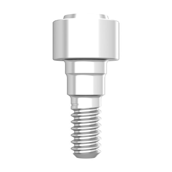 GBR Connection Abutment - Image 5