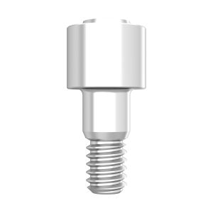 GBR Connection Abutment