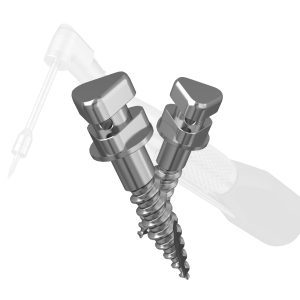 Anchor Screw System