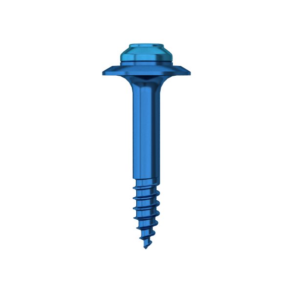 Advanced GBR Tenting Screw - 5 Piece/Pack - Image 4