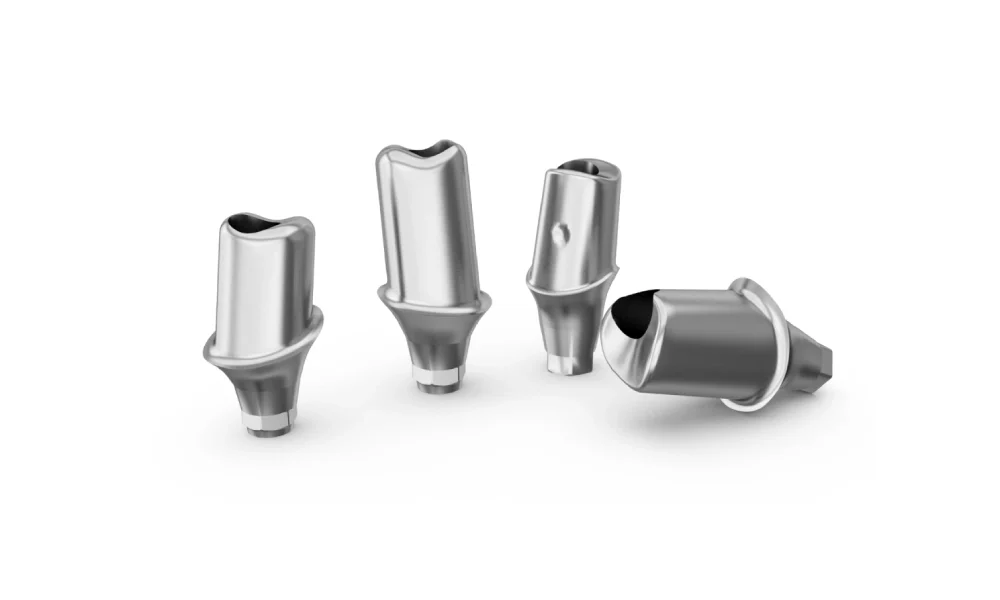 Abutment